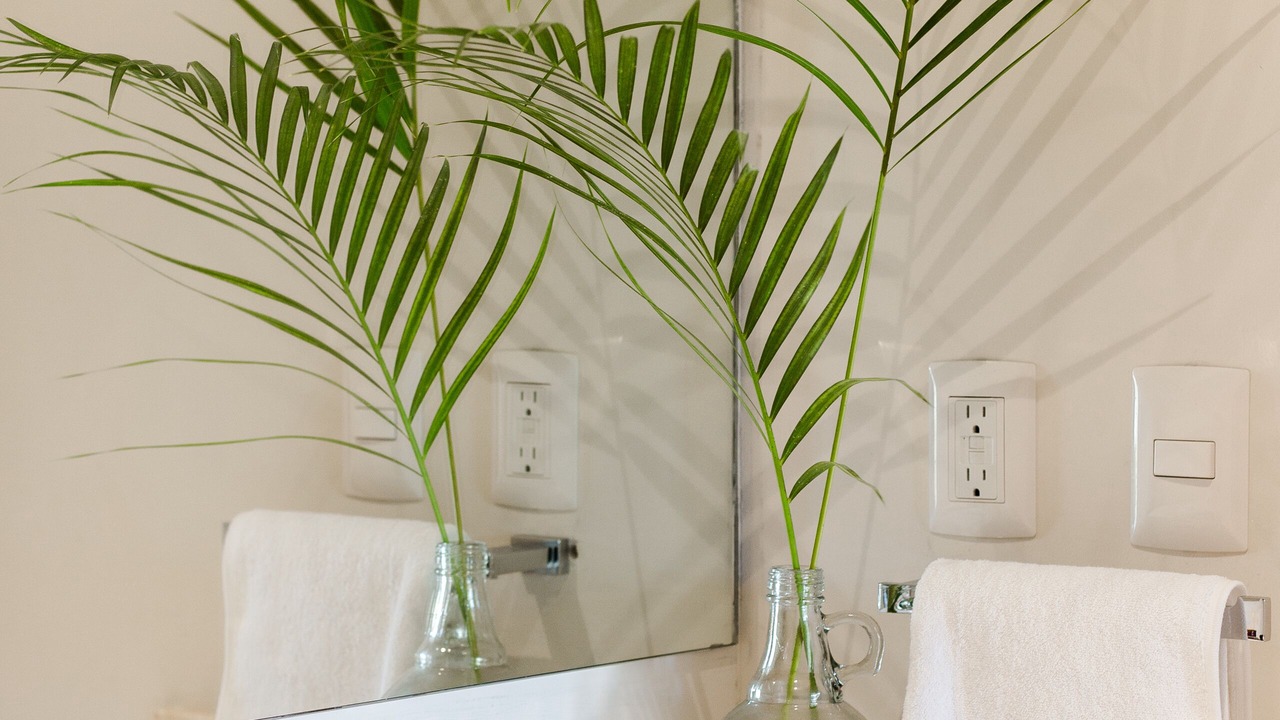 Photo of Bathroom in Zama