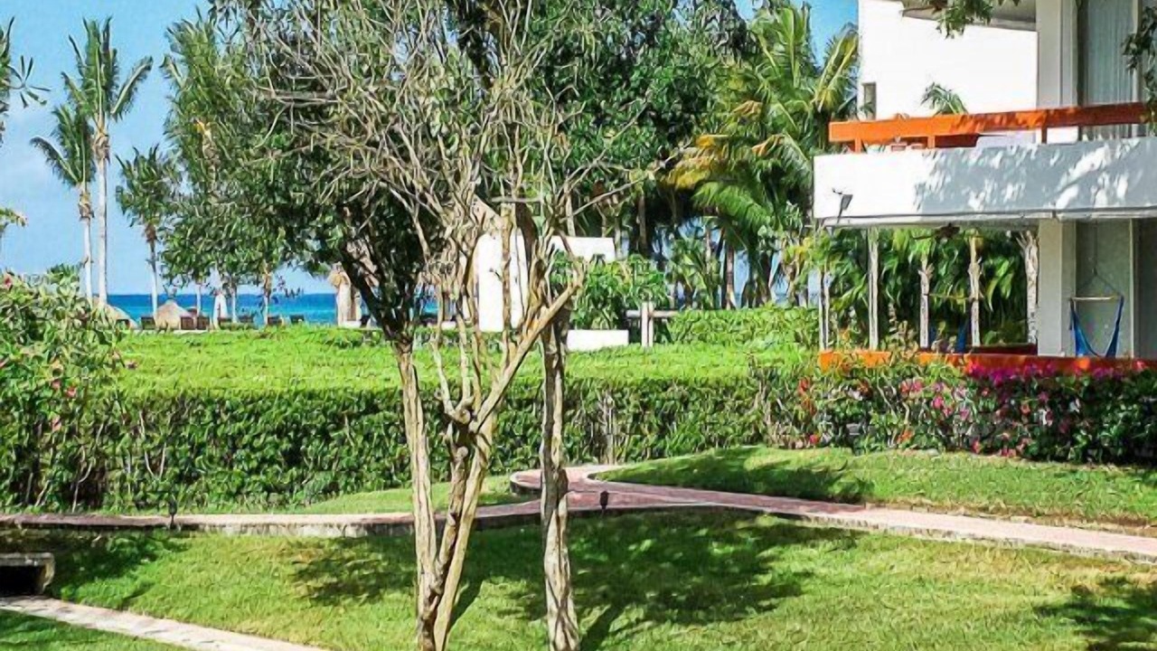 Photo of Outdoor in Costa Maya