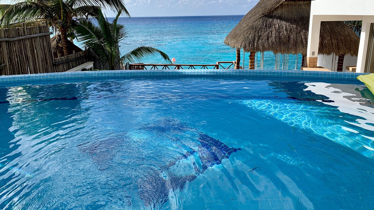 Photo of Outdoor in San Miguel