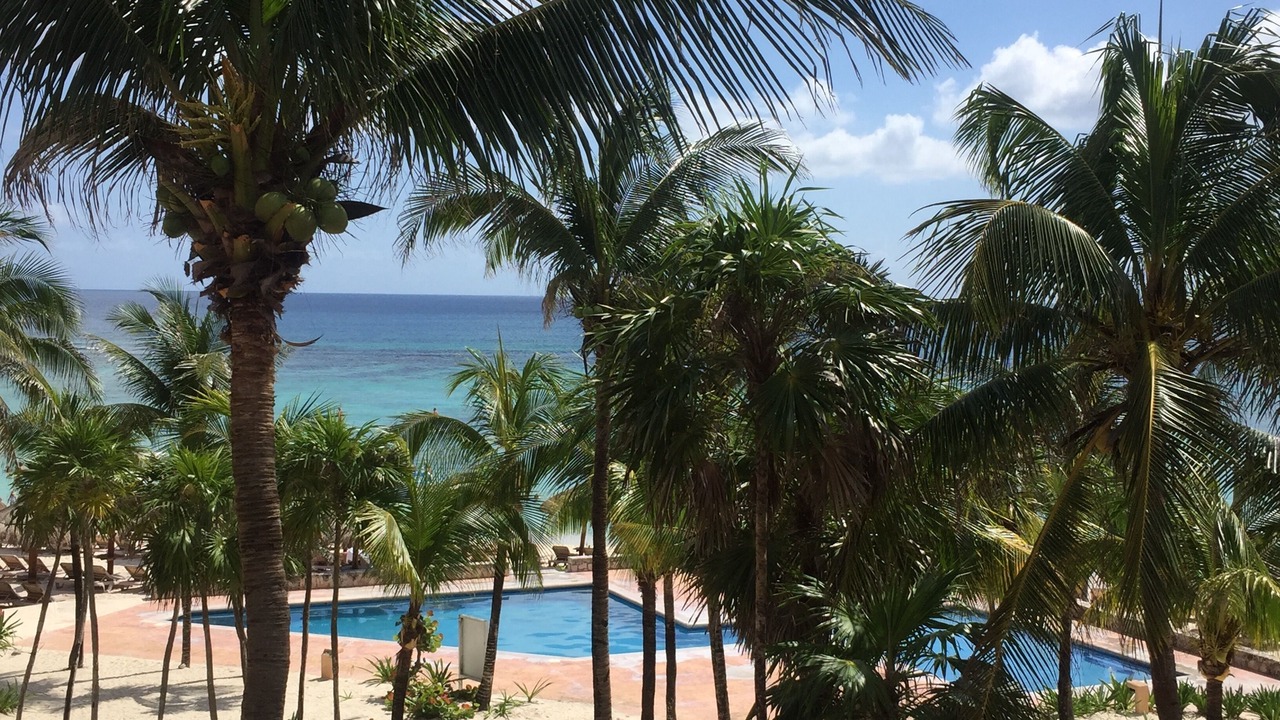 Photo of Outdoor in Akumal