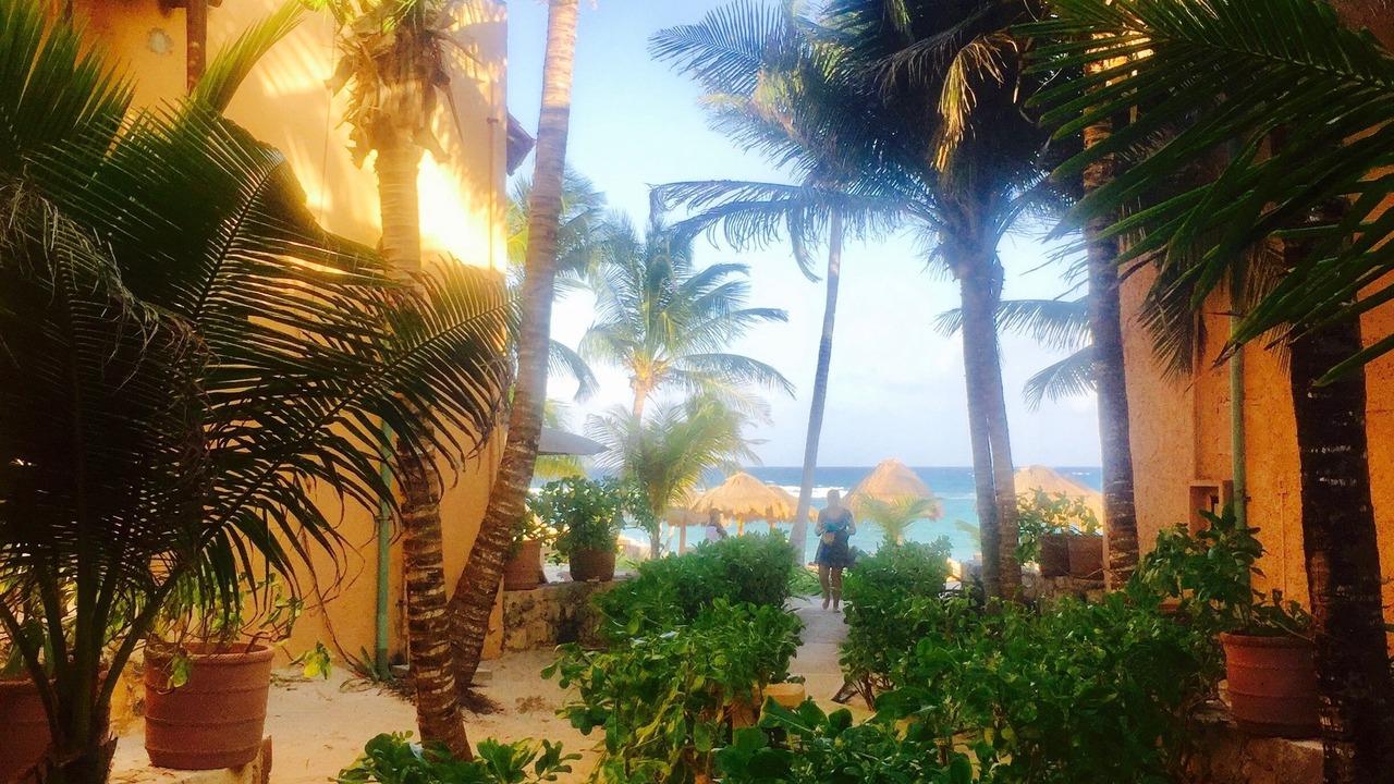 Photo of Others in Akumal