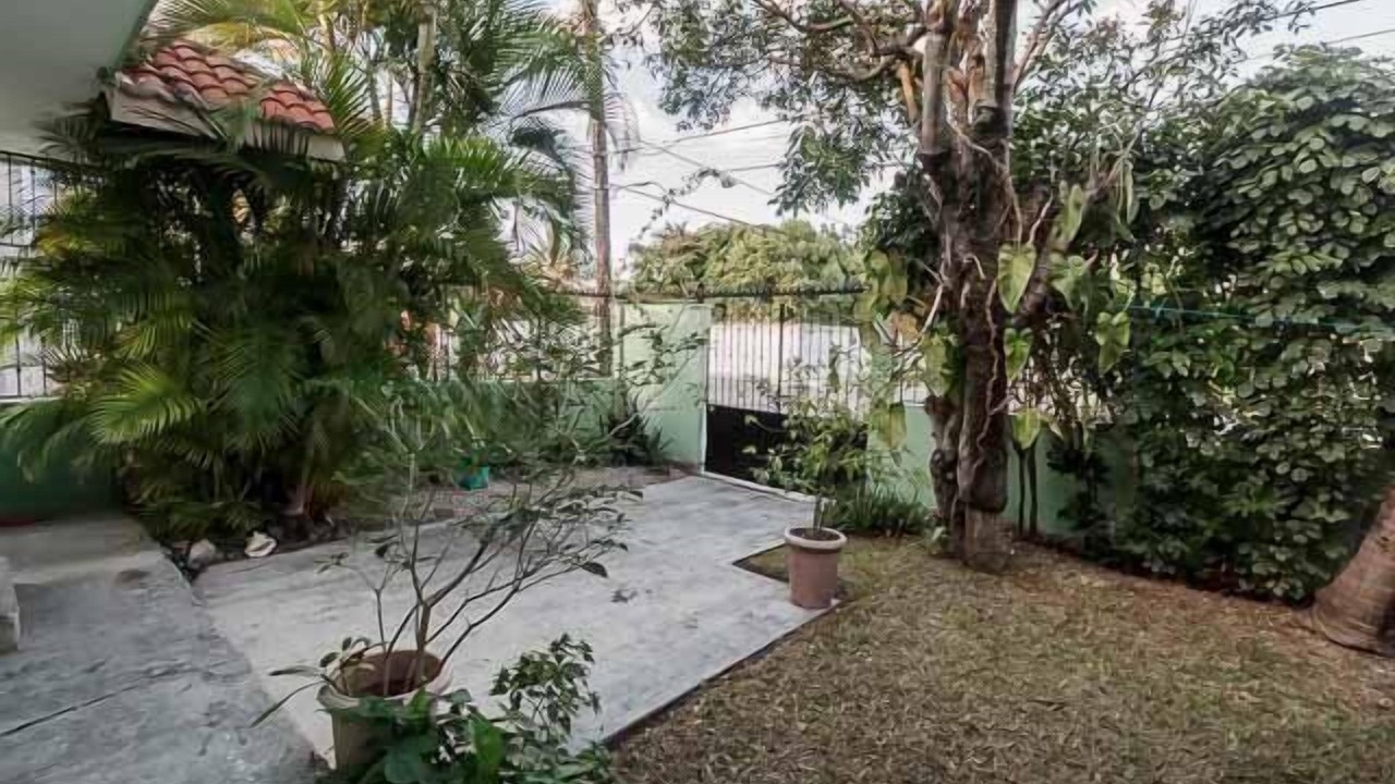 Photo of Outdoor in Colonia Andres