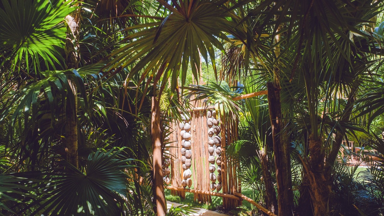 Photo of Outdoor in Playa del Secreto