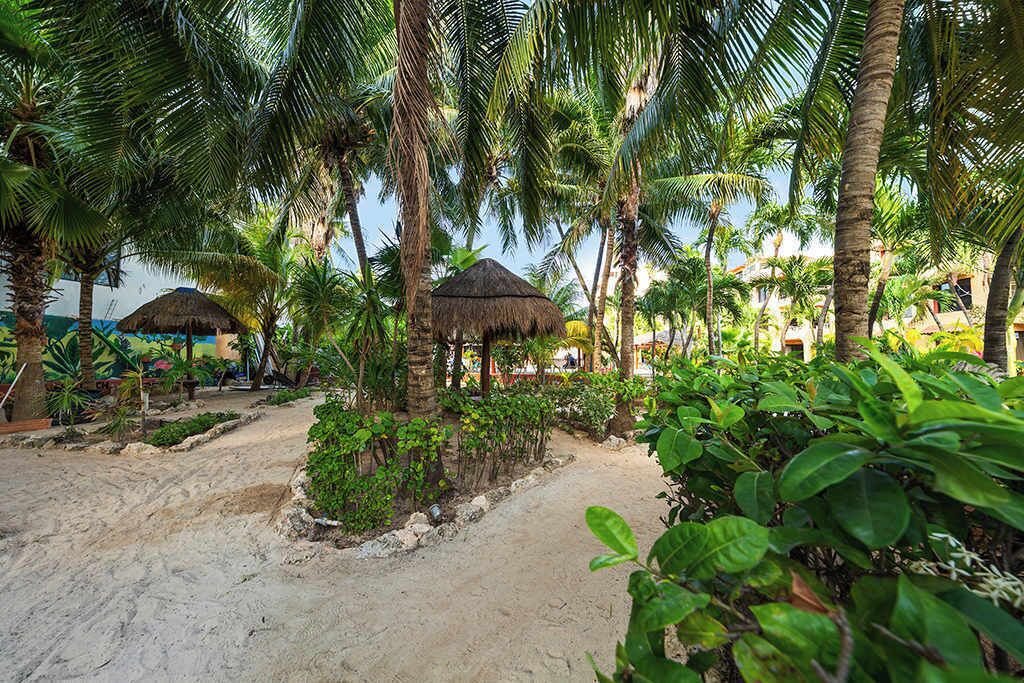 Photo of Outdoor in Centro - Supmza 001