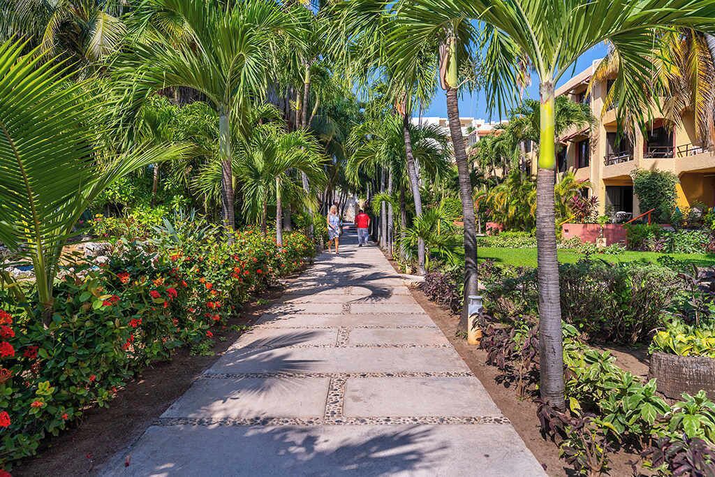 Photo of Outdoor in Centro - Supmza 001