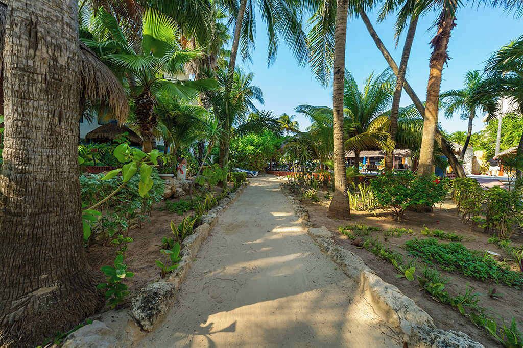 Photo of Outdoor in Centro - Supmza 001
