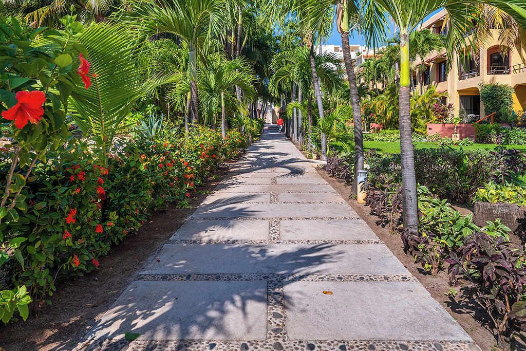 Photo of Outdoor in Centro - Supmza 001