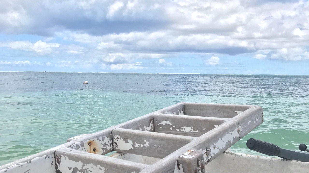 Photo of Others in Puerto Morelos