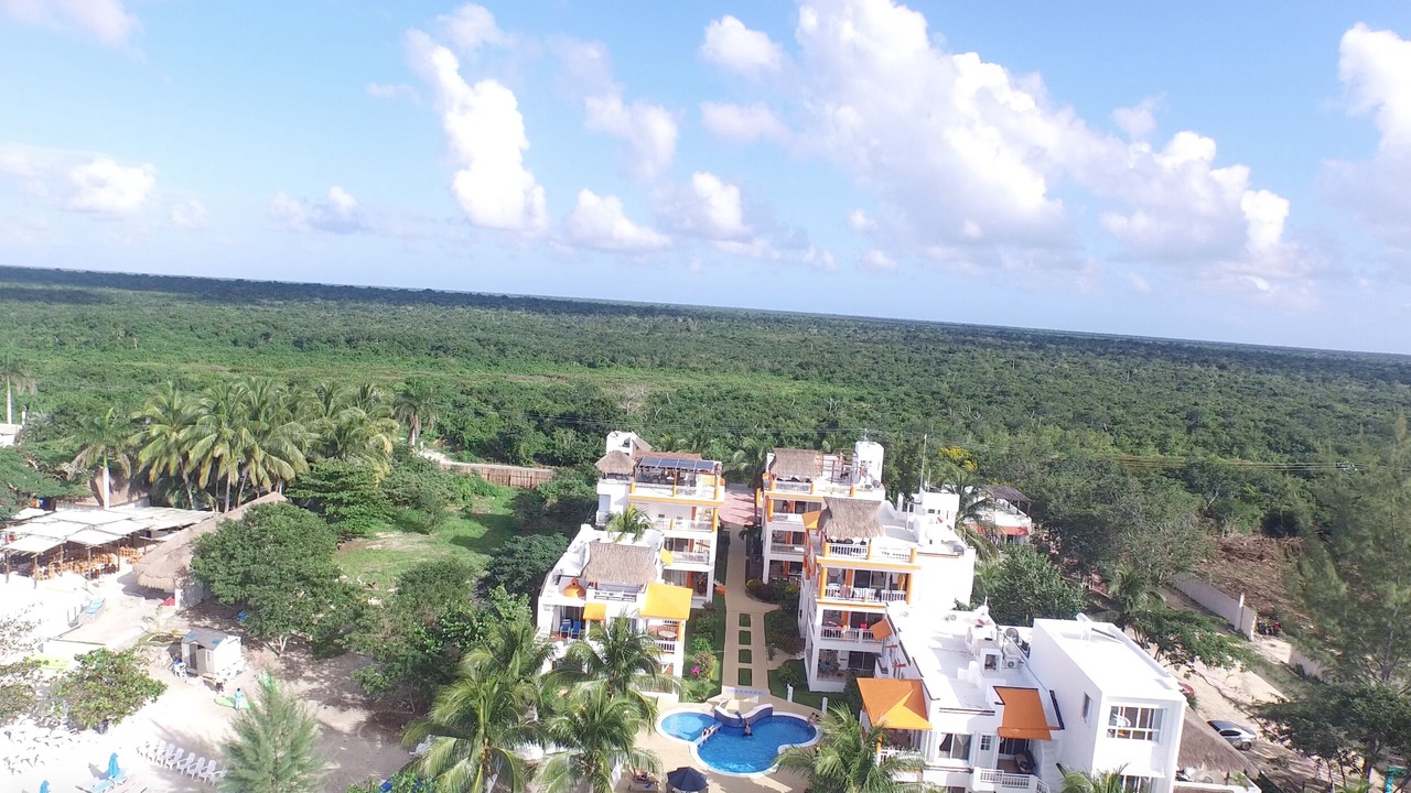 Photo of Others in Cozumel