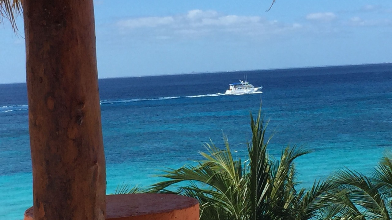 Photo of Others in Cozumel