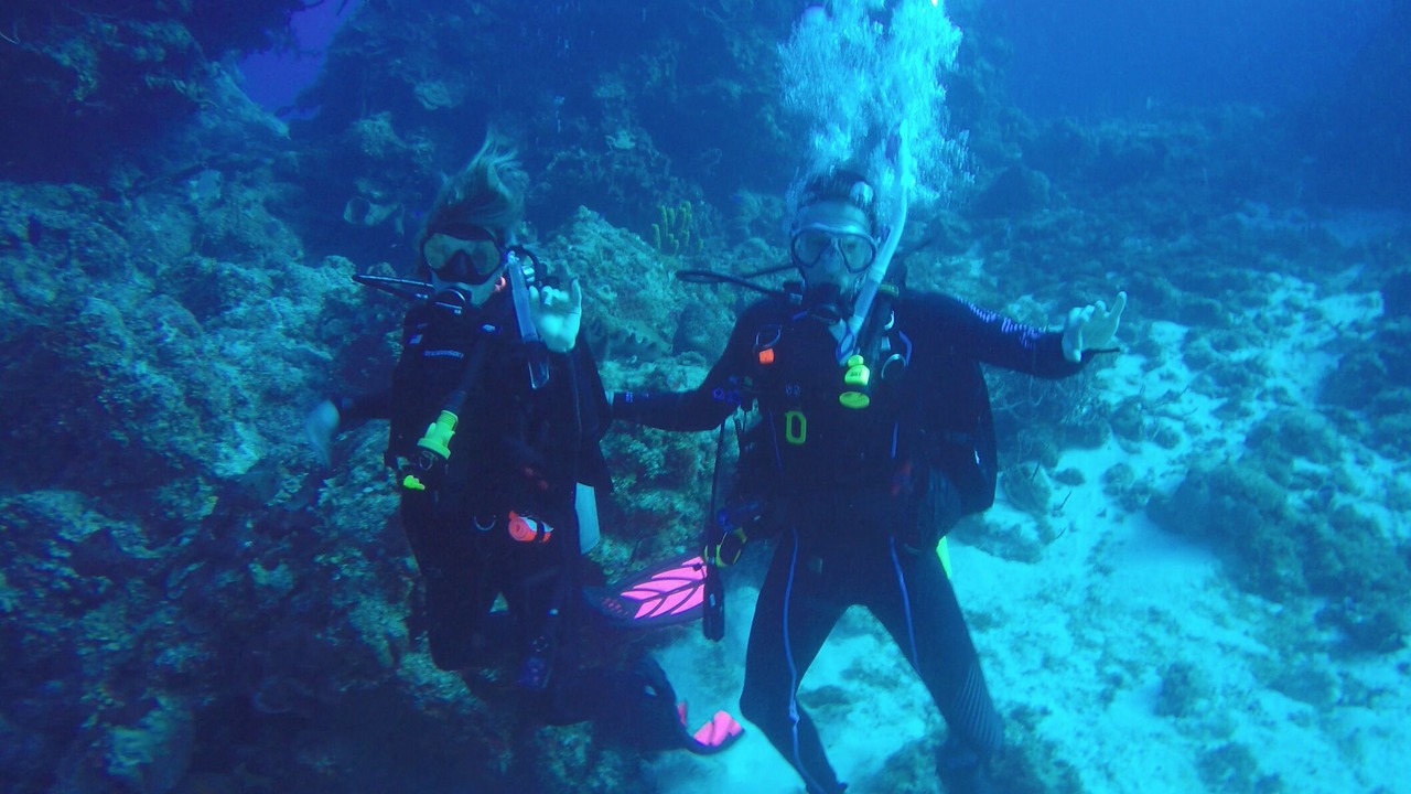 Photo of Others in Cozumel