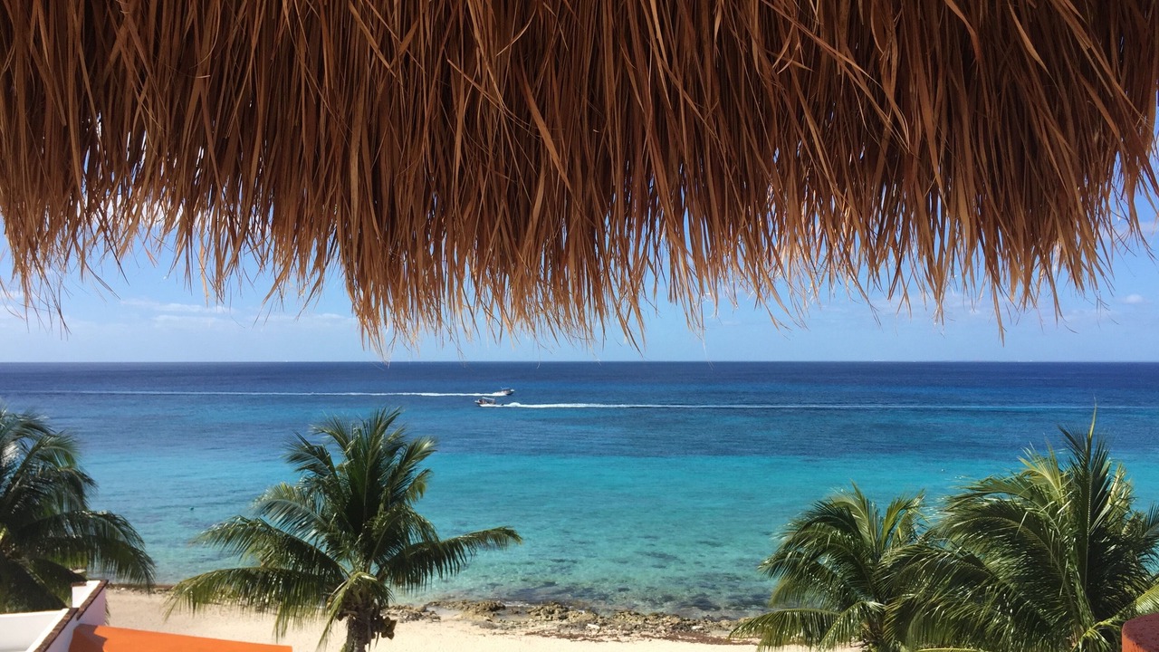 Photo of Others in Cozumel