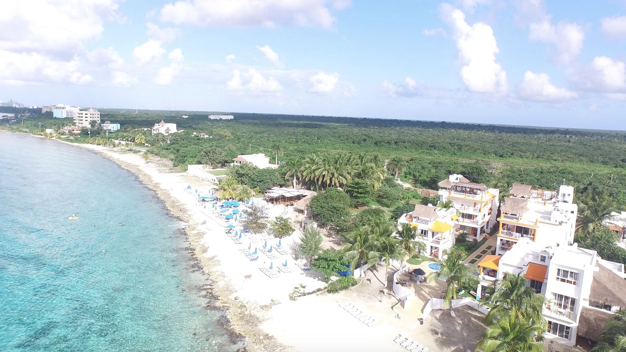 Photo of Others in Cozumel