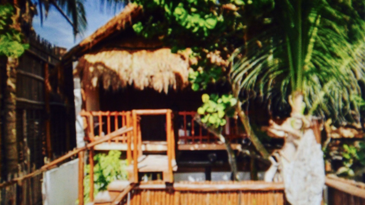 Photo of Others in Playa Paraiso
