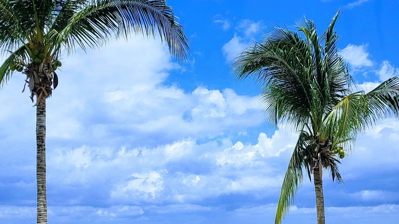 Photo of Others in Cozumel
