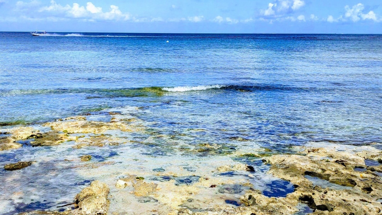 Photo of Others in Cozumel
