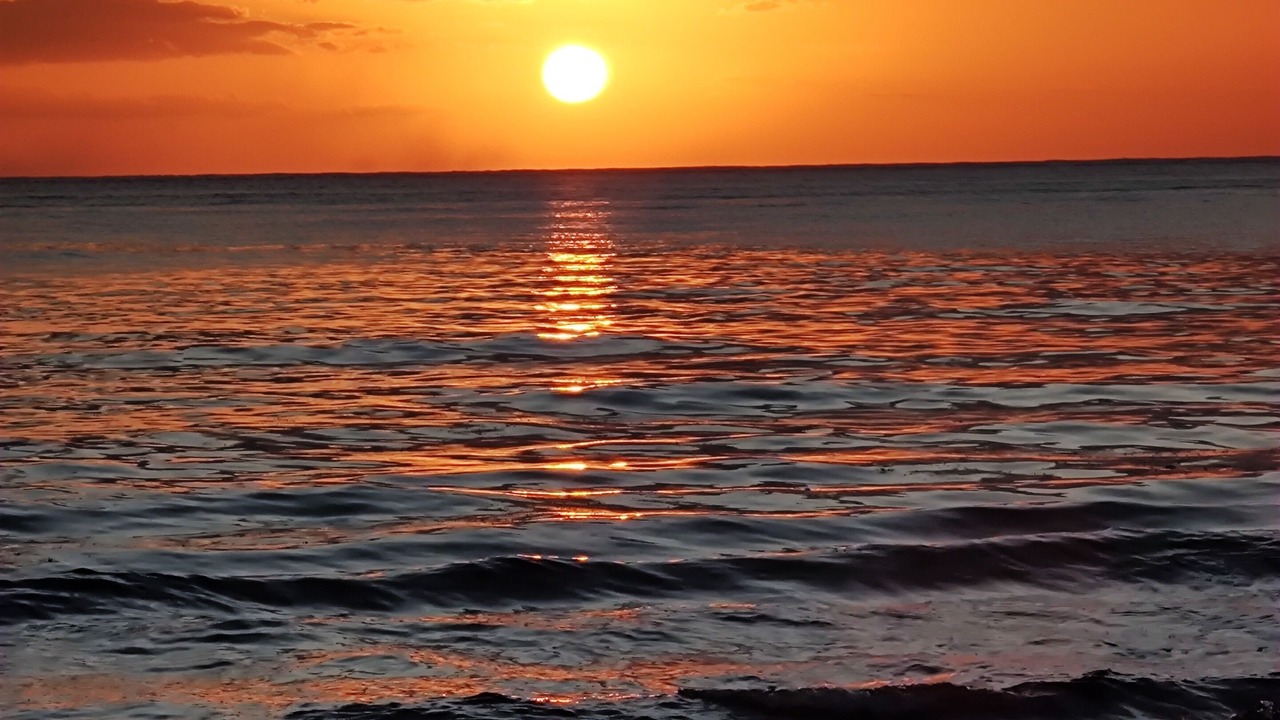 Photo of Others in Cozumel