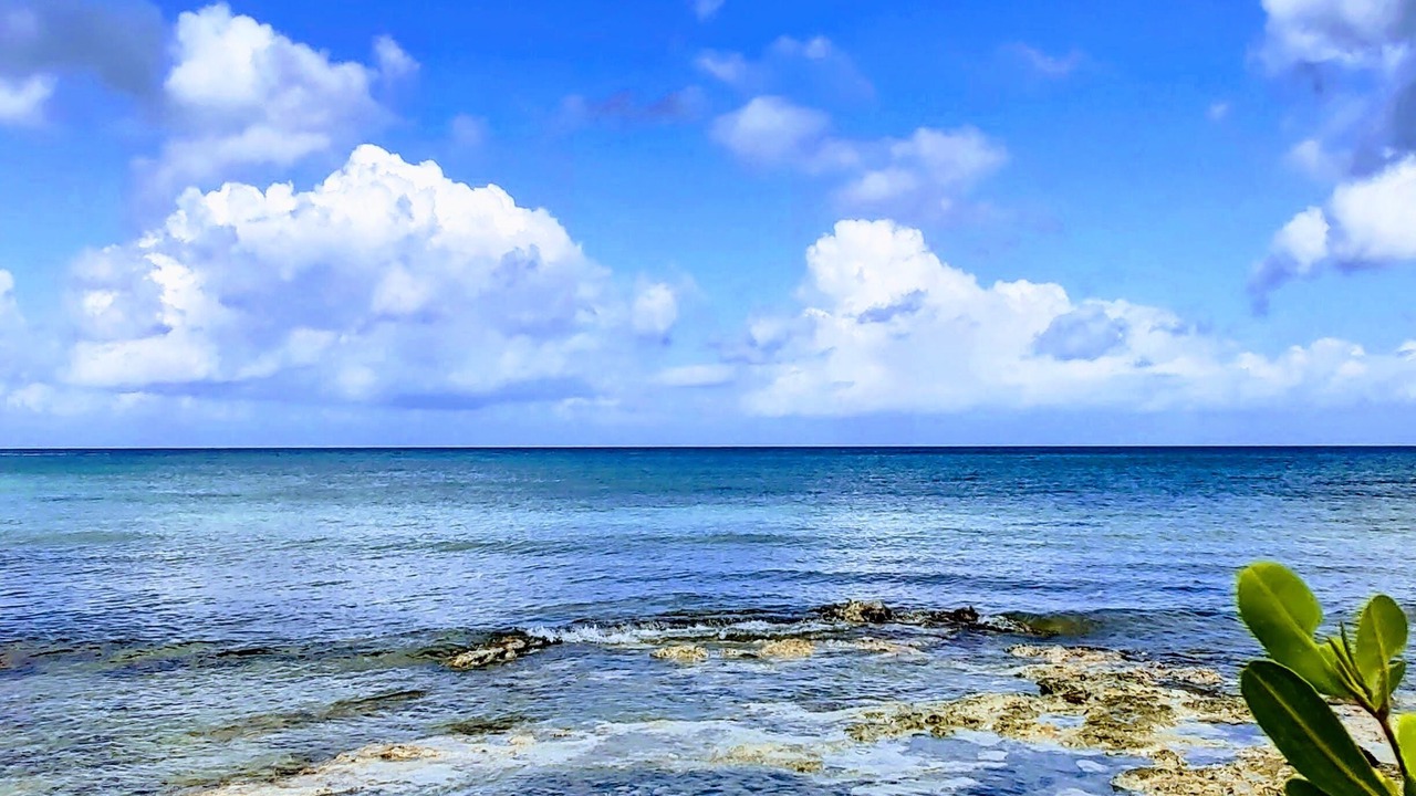 Photo of Others in Cozumel