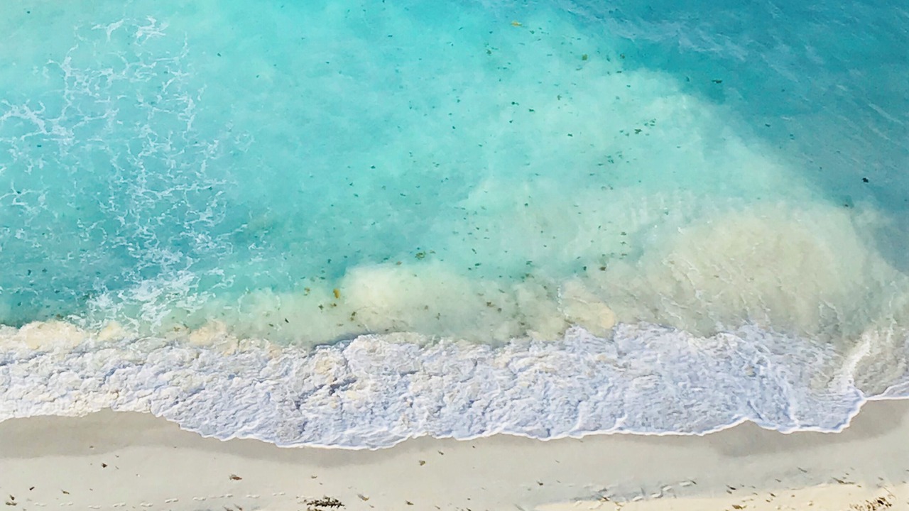 Photo of Others in Punta Cancun