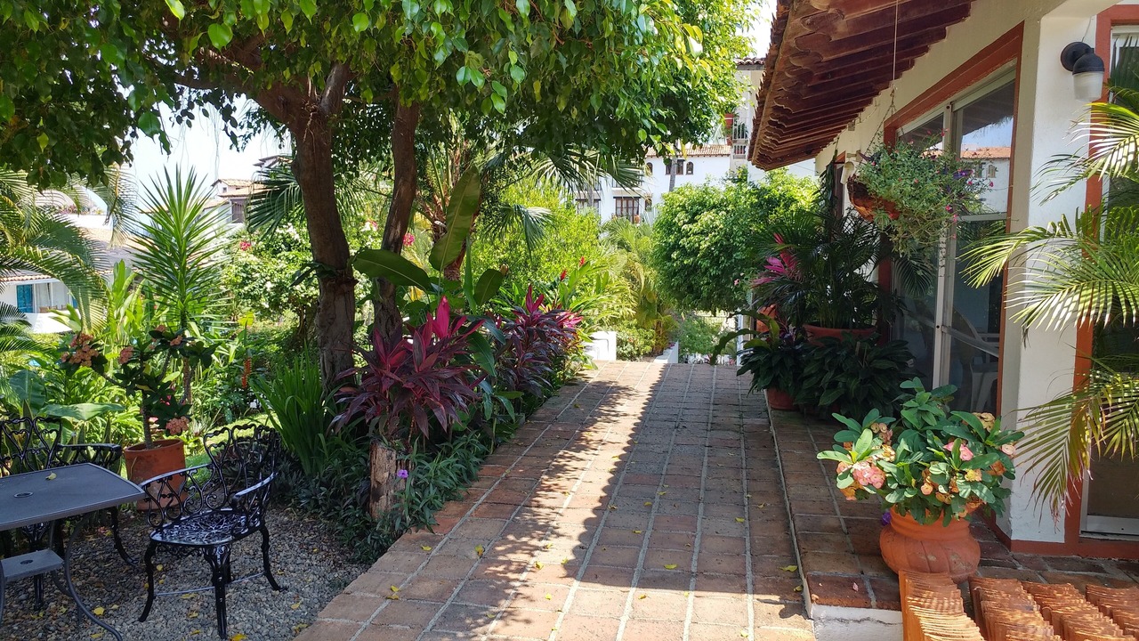 Photo of Outdoor in Emiliano Zapata