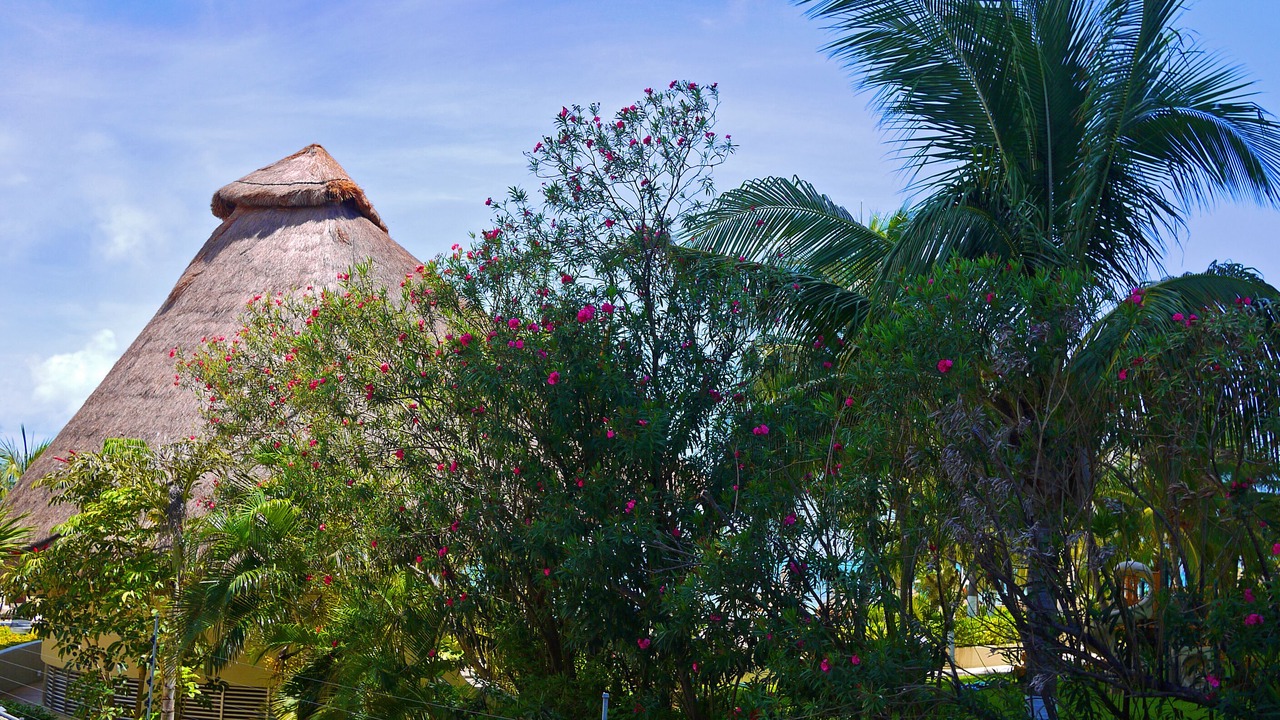 Photo of Patio Balcony in Punta Cancun