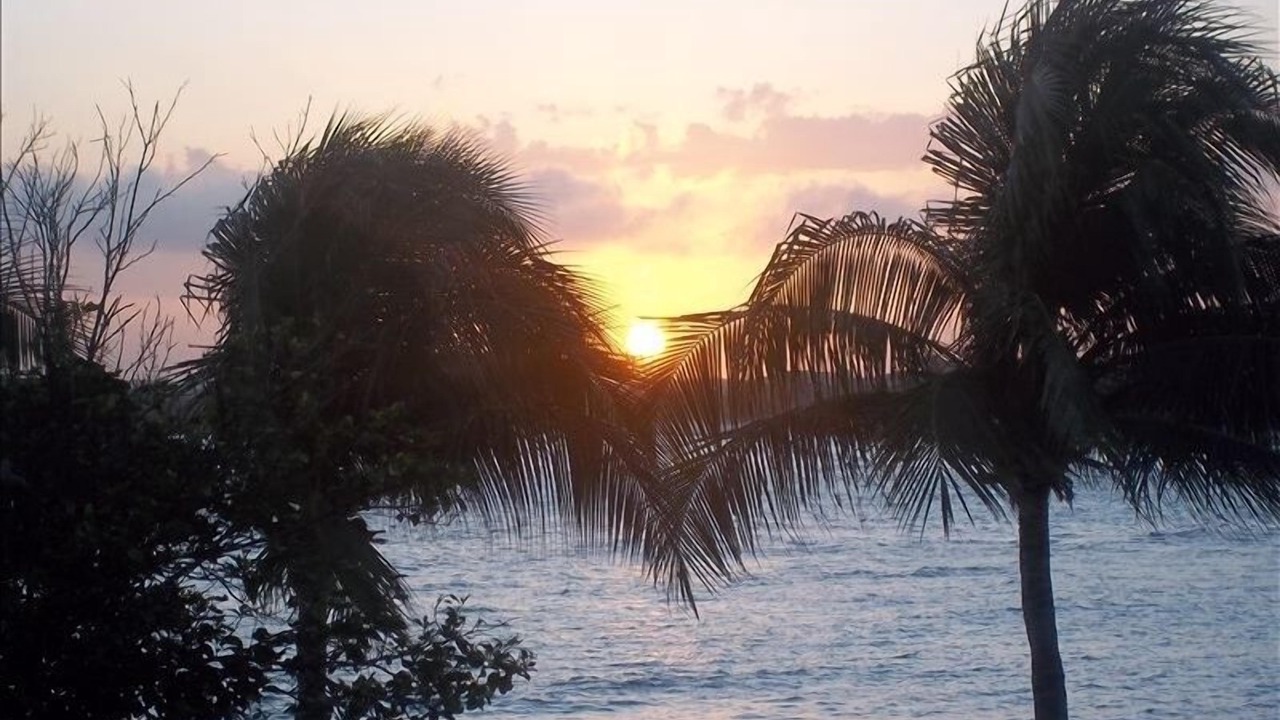Photo of Others in Puerto Aventuras
