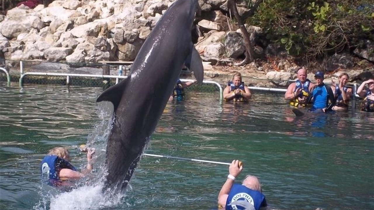 Photo of Others in Puerto Aventuras