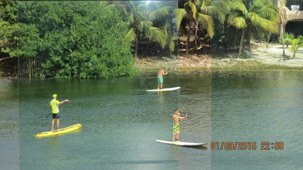 Photo of Others in Puerto Aventuras