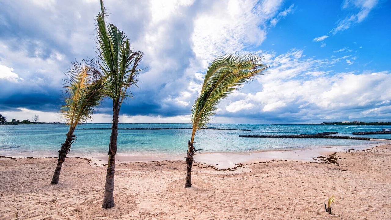 Photo of Others in Puerto Aventuras