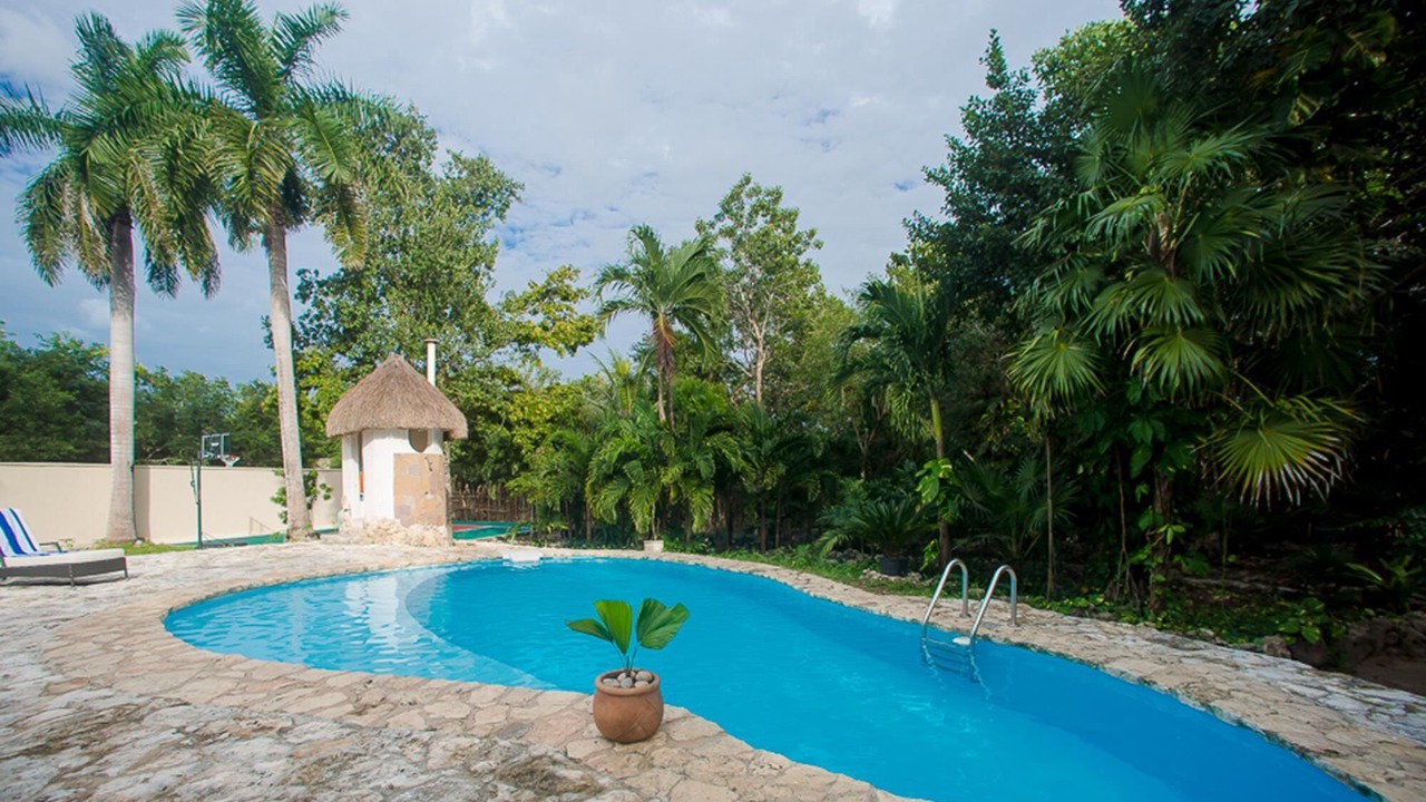 Photo of Outdoor in Alfredo V. Bonfil