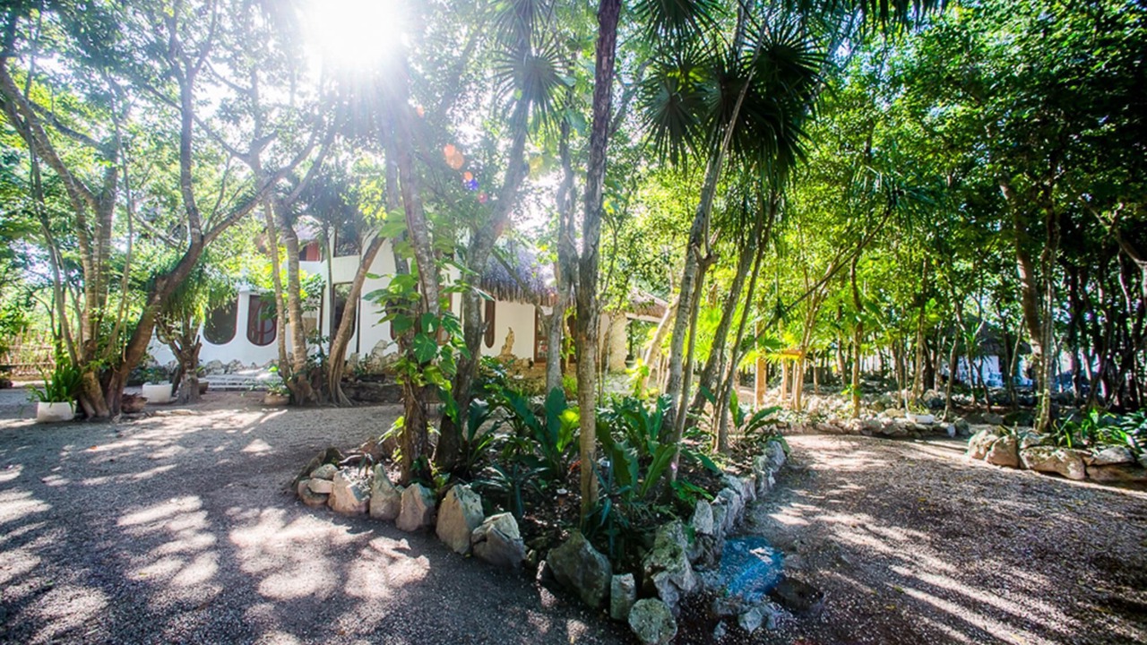 Photo of Outdoor in Alfredo V. Bonfil