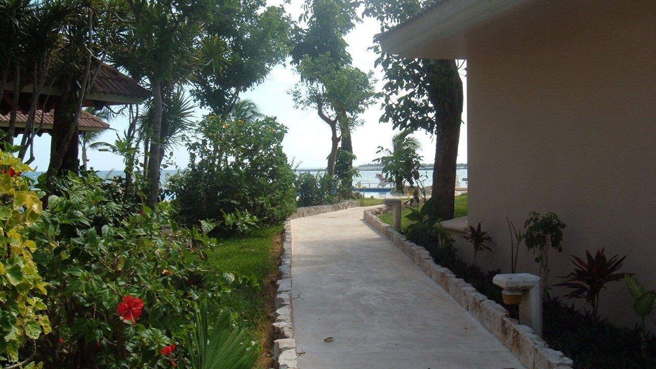Photo of Others in Puerto Aventuras