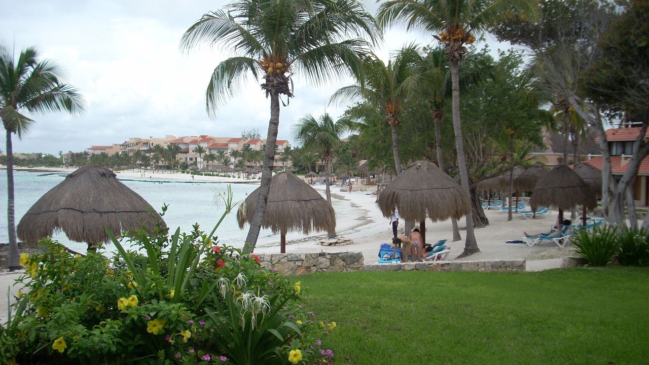 Photo of Others in Puerto Aventuras