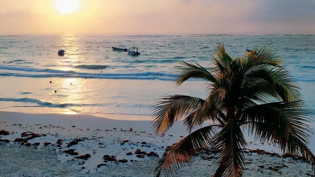 Photo of Others in Playa Paraiso