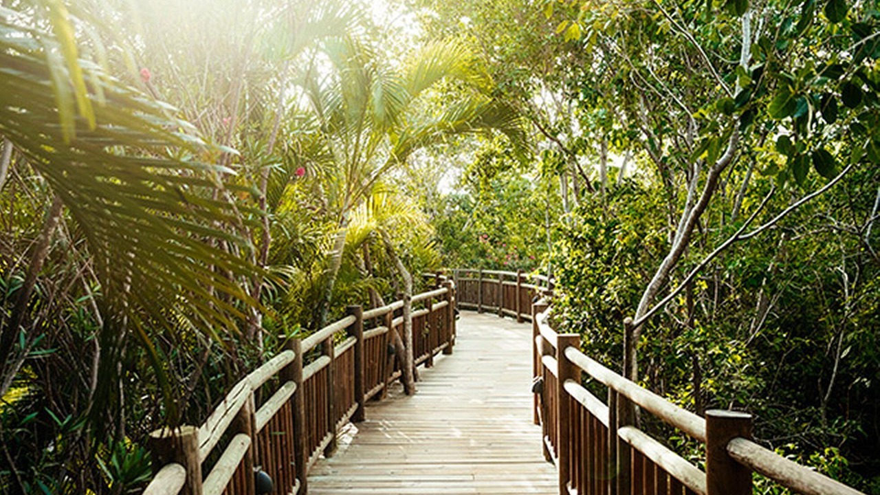 Photo of Outdoor in Maroma