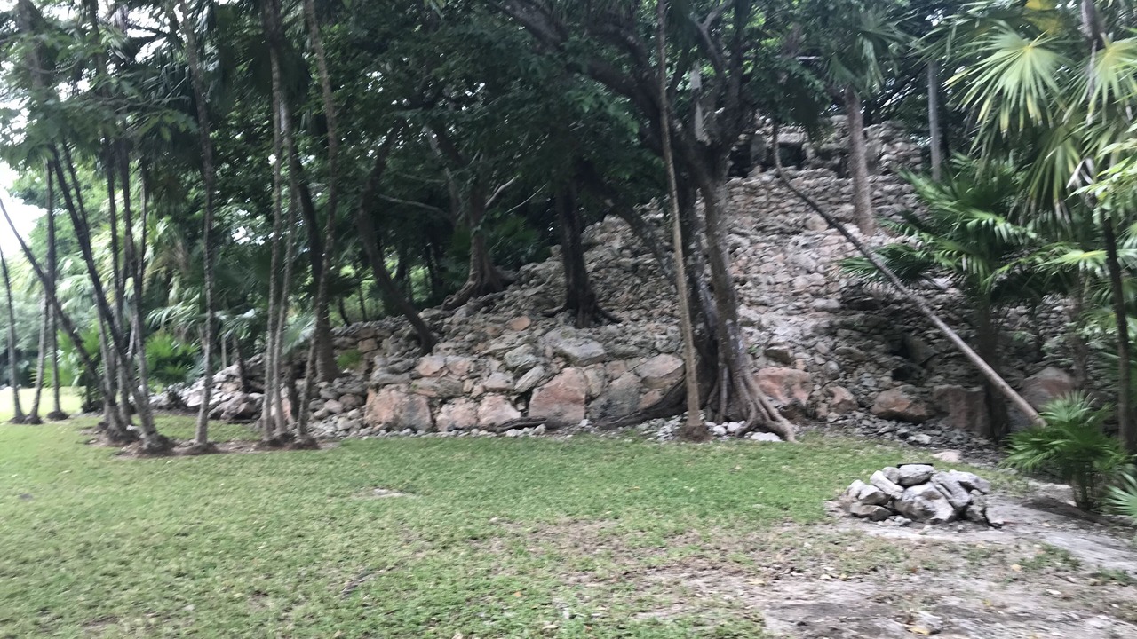 Photo of Others in Playacar Fase I