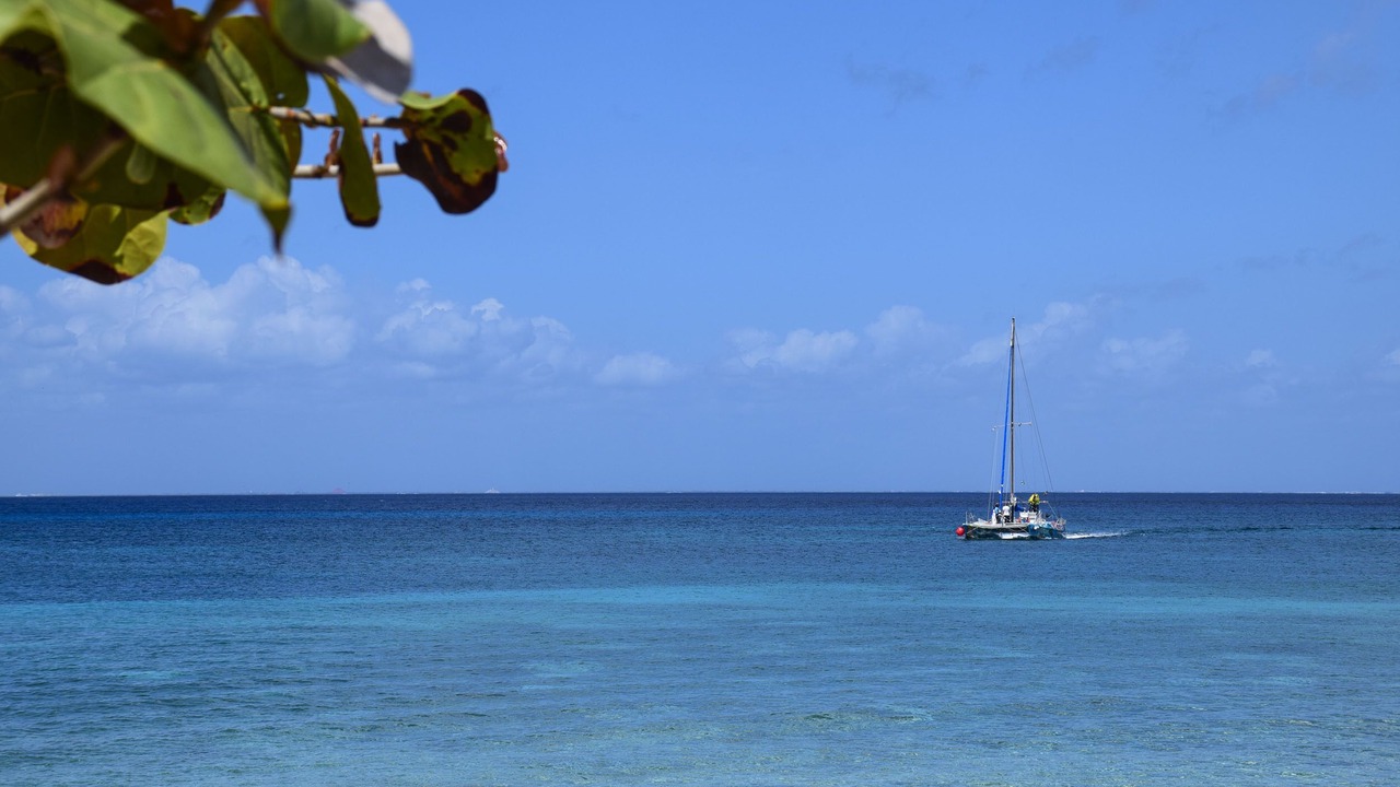 Photo of Others in Cozumel