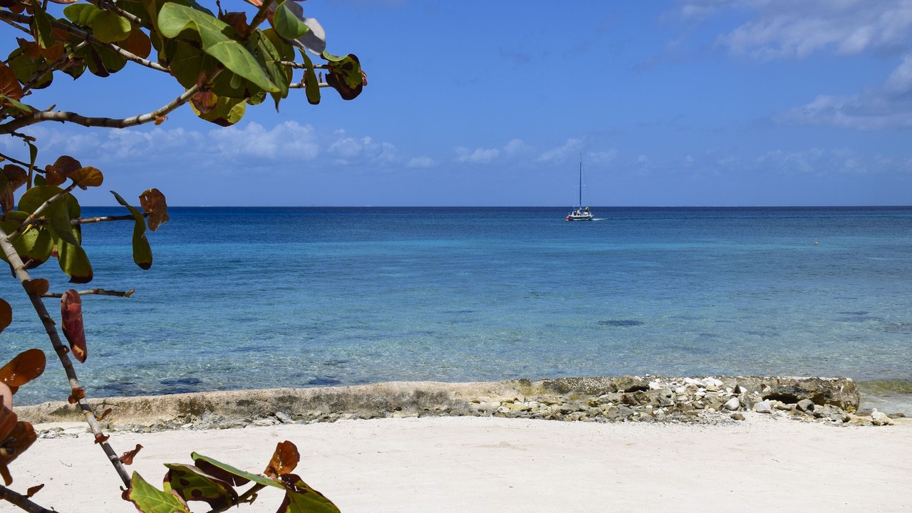 Photo of Others in Cozumel