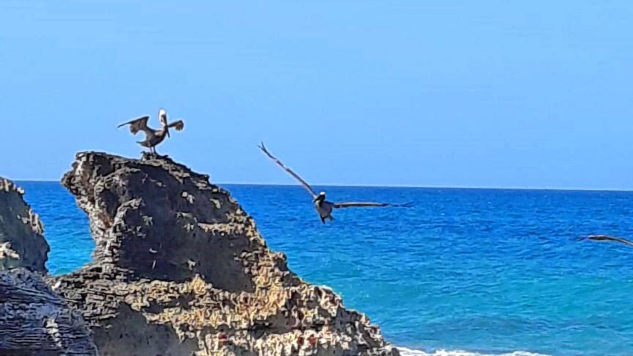 Photo of Outdoor in Salina Grande