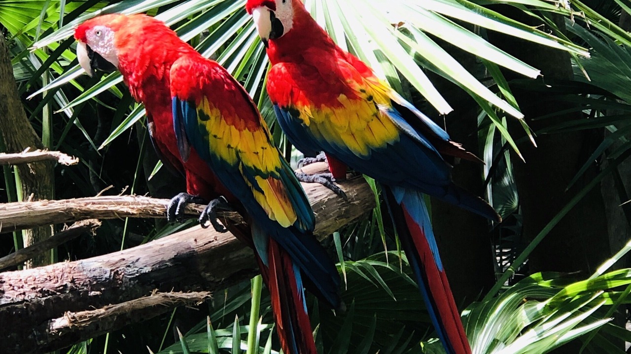 Photo of Outdoor in Xcaret