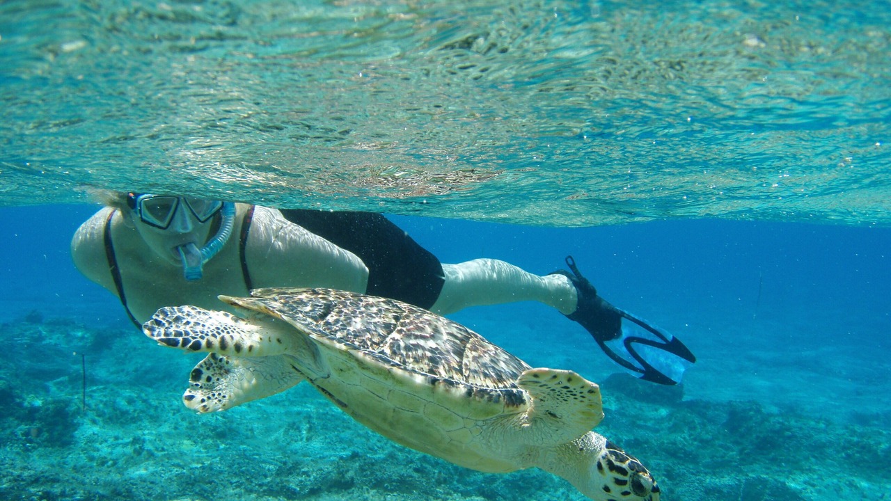 Photo of Others in Costa Maya