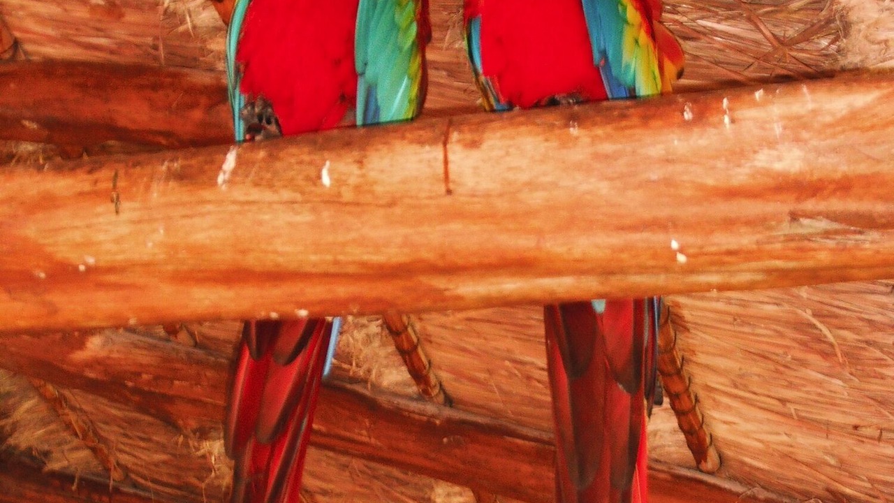 Photo of Others in Costa Maya