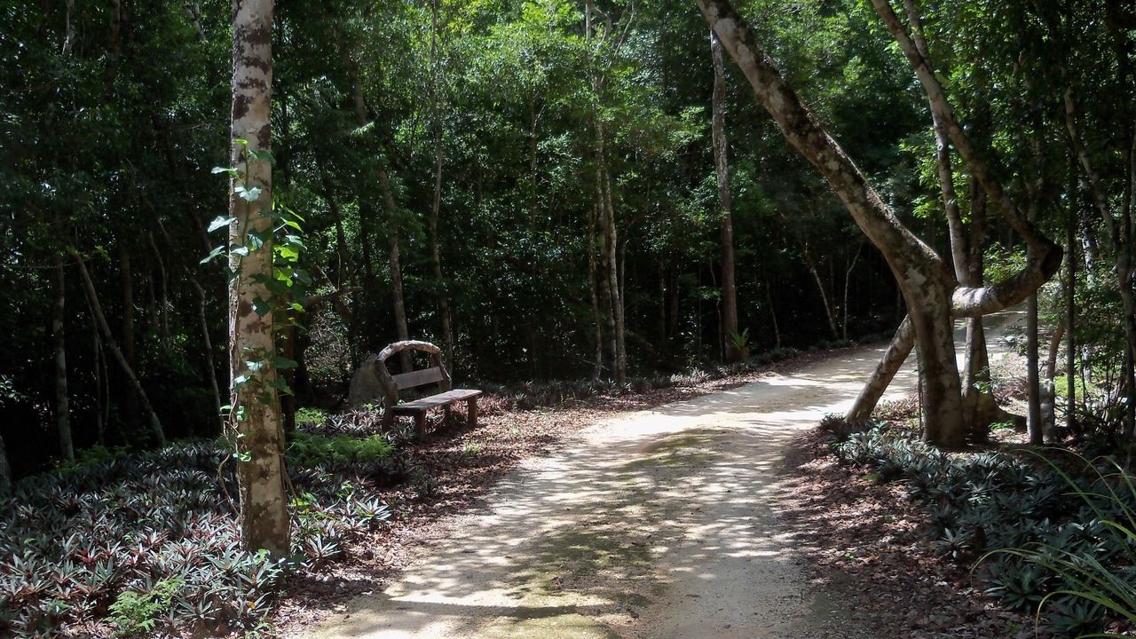 Photo of Outdoor in Tulum