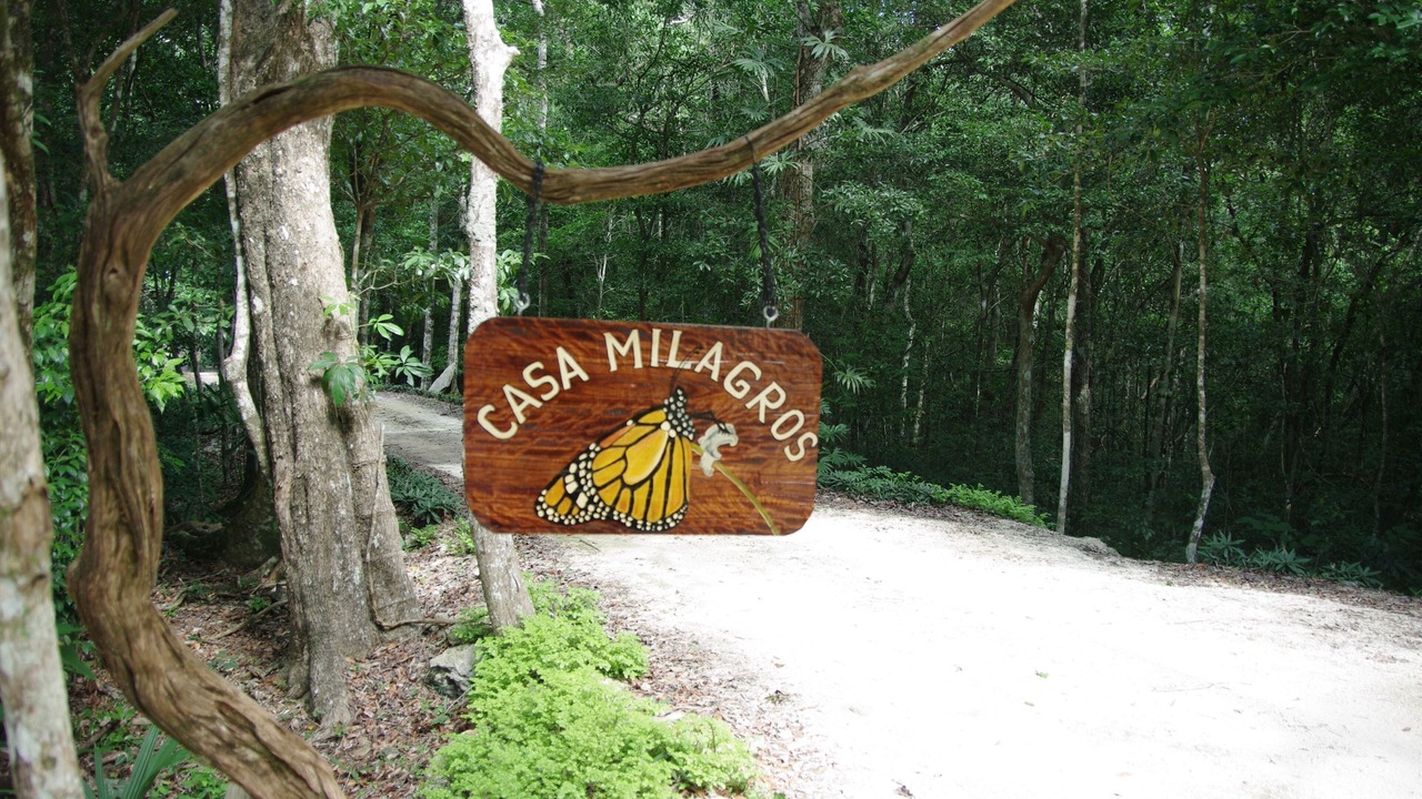 Photo of Outdoor in Tulum