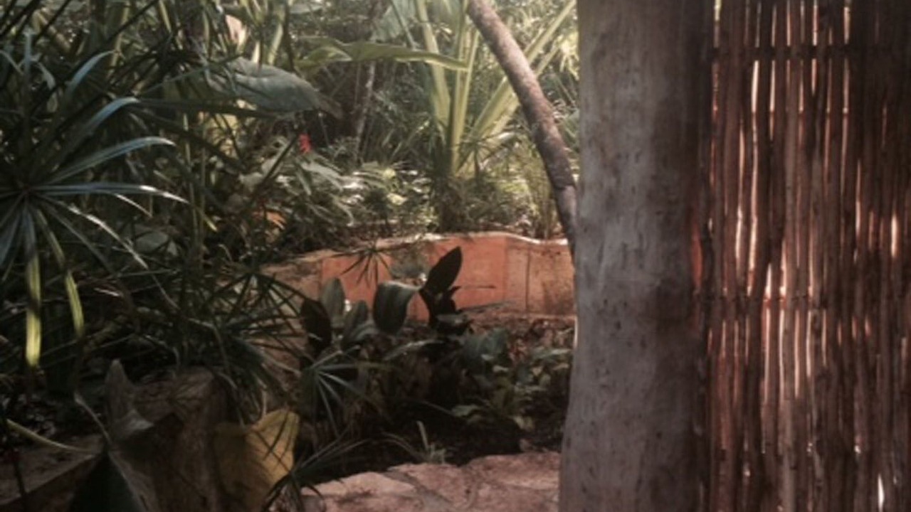 Photo of Outdoor in Tulum