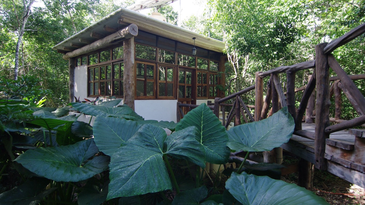 Photo of Outdoor in Tulum