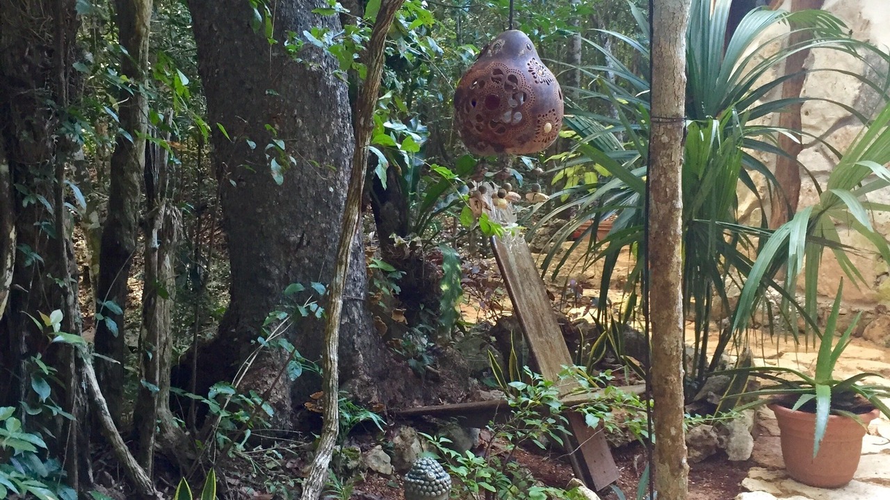 Photo of Outdoor in Tulum