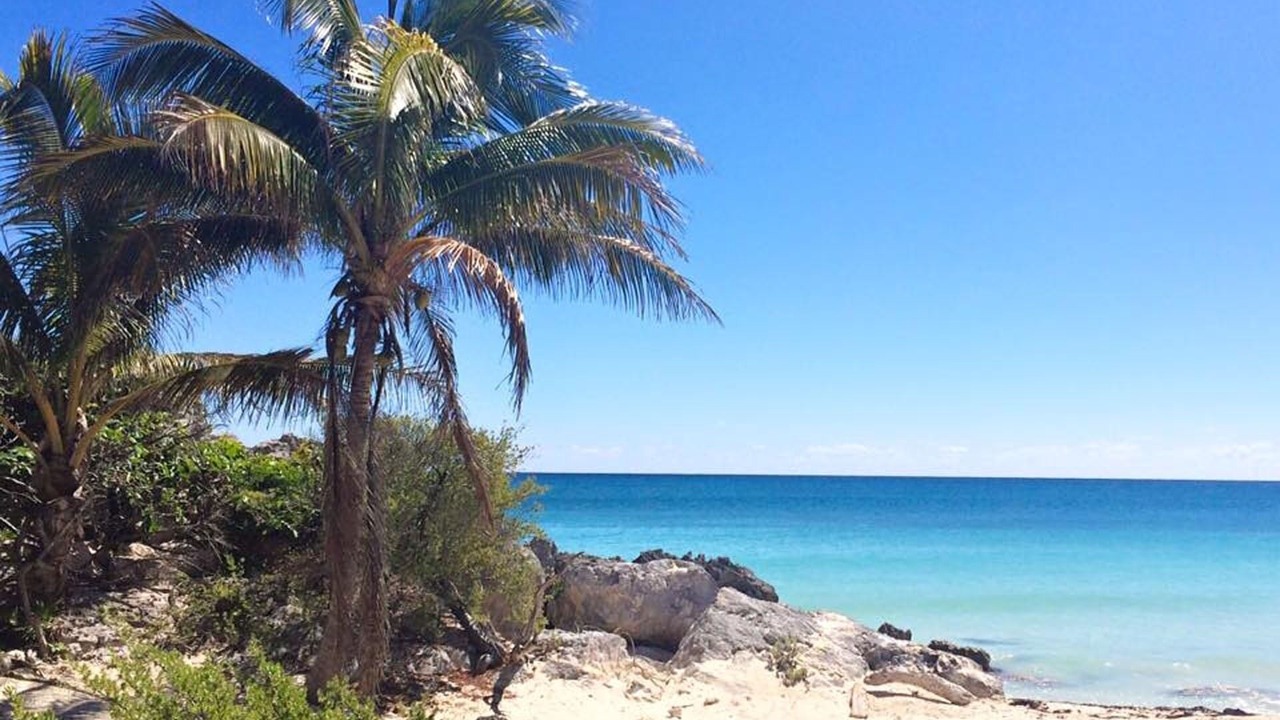 Photo of Others in Tulum