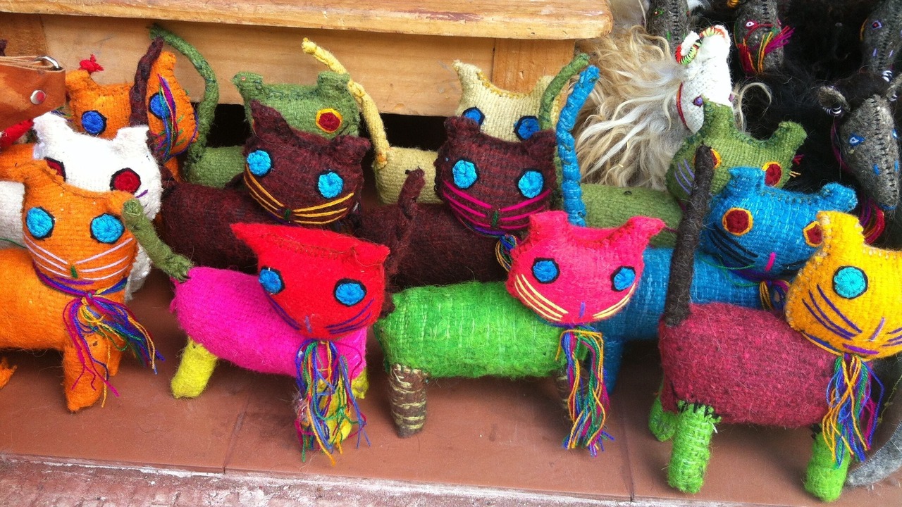 Photo of Others in Playacar Fase I