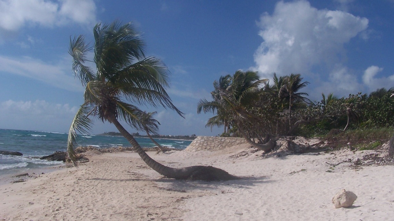 Photo of Others in Akumal